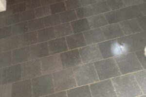 Plaatsen van tegels 20×20 Bleu Stone, donker geschuurd, halfsteenverband – hal en wc te De Pinte